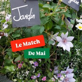 🌿👑 LE MATCH DU MOIS
Ambiance jardin à l’anglaise activée !

Regardez moi ce duo 🫶
Les plantes stars du moment, prêtes à transformer les extérieurs en mini domaine british 🌸
Les indispensables pour présenter tout ça avec élégance (et éviter le fameux “euh… c’était quoi déjà cette plante ?” 👀)

Les Accessoires en vedette ce mois-ci 🏷️:
Les petites ardoises naturelles
Les piquets porte-ardoises en alu
Le marqueur spécial ardoise effaçable
Et bien d'autres modèles sympa sur 

Côté végétal 🪴:
On vous a sorti toute la palette ! Du delphinium, au bacopa, en passant par le dahlia, l’euphorbe diamond frost, le rosier et la Clématite (pour ne citer qu’eux 👀)
Retrouvez l’intégralité de la gamme sur horticash.com

Parce qu’un massif de digitales et de delphiniums, c’est magnifique… mais une étale identifiée avec style, c’est carrément aristocratique 👑

Et entre nous : écrire le nom de ses plantes sur de jolies ardoises, ça donne immédiatement envie de parler jardin avec un accent anglais approximatif autour d’une tasse de thé ☕🌿

Alors, team présentation parfaitement organisée… ou team “je connais TOUTES mes plantes par cœur” ?

#JardinALAnglaise #PlantesVivaces #JardinRomantique #MassifFleuri #LeMatchDuMois