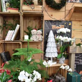 🎄 Les nouvelles vitrines sont en place !

Plongez dans l’ambiance Noël Magie Boisée 🌲
Une atmosphère naturelle et féérique vous attend dès aujourd’hui dans vos cashs d’Angers, Nantes et Rennes 💫
‌

Textures boisées, nuances vertes et dorées, esprit forêt enchantée, avec une petite touche de gourmandise…
Laissez-vous inspirer pour vos mises en scène de fin d’année ✨
‌
📸 Découvrez un aperçu en images, et rendez-vous en magasin pour faire le plein d’idées !

‌
#Horticash #Noël2025 #MagieBoisée #DécorationNoël #Fleuriste #Jardinerie #InspirationVégétale #VitrineNoël