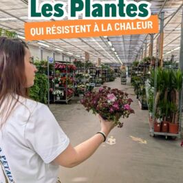 🌡️ Alerte canicule… les températures repartent à la hausse !

Dans ces conditions, mieux vaut être une plante qui aime le soleil 🥵

Pendant que certaines peinent à supporter la chaleur... d'autres gardent leur sang-froid (ou plutôt leur sève froide 😎🌿)

Et franchement, elles ont tout notre respect 😅

Sempervivum, Immortelle, Lavande, Olivier, Polygala… Ce sont les vraies championnes de l'été.

Elles résistent aux fortes chaleurs et continuent de s'épanouir, même lorsque le thermomètre grimpe 💥

Retrouvez dès maintenant les plantes Canicule Friendly sur notre site et dans nos cashs 🌱

#Plantes #Grossiste #Fleuriste #Vegetal #ProDuVegetal