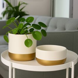 Nouvel arrivage - Céramique 🤍

L’esprit des fêtes commence à illuminer vos boutiques ✨

Découvrez notre nouvel arrivage de cache-pots et coupes en céramique blanc et or, à la fois festifs et élégants.

Des pièces chics et intemporelles, parfaites pour accompagner toutes vos créations.
👉 Disponibles en plusieurs tailles.

À retrouver dans nos magasins et sur le site web 🛍️

#Fleuristes #ProDuVegetal #RenaudHorticash #CoupeCeramique #CachePot #Decoration #Fournisseur #Grossiste #DecoNoel #NouvelArrivage #Deco #Noel2025