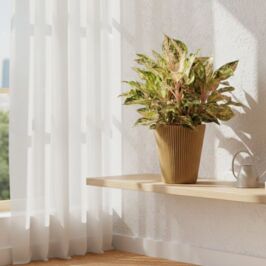 Saviez-vous qu’aujourd’hui c’est la Journée Mondiale du Recyclage ?

Cette journée nous rappelle que recycler ne se limite pas seulement au tri : c’est aussi repenser les habitudes de consommation et privilégier des produits conçus pour durer et être réutilisés. ♻️

Chez Renaud Horticash nous faisons notre part !

Découvrez notre sélection de produits écoresponsables, conçus pour être 100 % recyclables. 🌱

👉 Faites défiler pour vous inspirer et découvrir notre sélection durable.

Retrouvez encore plus de références sur notre site et en magasin 🖥️  ( lien en bio) 

#fleuristeecoresponsable #écologie #renaudhorticash #fleurs #grossiste