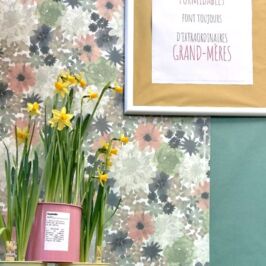 🌸 Dimanche 1er mars, on pense à nos Mamies Chéries 🌸

La Fête des Mamies, c’est ce petit rendez-vous plein de douceur qui annonce presque le printemps… Des couleurs, des fleurs, et beaucoup d’amour.

 
Pour l’occasion, chez Horticash on vous propose une sélection rien que pour elles : plantes fleuries de saison, compositions créées pour l’occasion, d’autres avec cache-pots déco… Une multitude d’idées cadeaux pour vos clients🌷 !

Pour découvrir toutes nos idées ? 
Rendez-vous sur horticash.com ou dans votre cash 🌿

 
Le dimanche 1er mars approche 😉