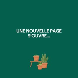 📖 Nouveau chapitre chez Renaud Horticash !

Il y a deux ans, nos deux sociétés se réunissaient. Aujourd’hui, une nouvelle étape commence !

👉 Nous devenons le groupe RdH !

🎯 L’idée ? Rendre notre organisation plus claire et plus lisible, sans perdre ce qui fait notre force depuis le début.

💚 Renaud & Horticash restent bien là
🌱 Deux expertises complémentaires
🪴 Deux identités qui font notre ADN

On ne change pas qui on est, on fait simplement évoluer notre identité pour mieux refléter notre fonctionnement 😉

Merci pour votre confiance 💚
On continue l’aventure ensemble.

PS : Petit moment de nostalgie… Qui se souvient de ces logos 👀

#NouvelleIdentite #Fleuristes #ProfessionnelsDuVegetal #GrossistePro