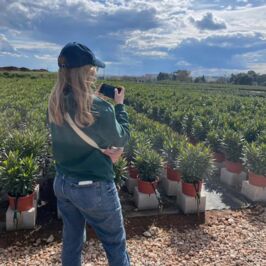 ☀️ Cette semaine, Emma et Fabien sont en Espagne ! ☀️

Objectif n°1 : aller vérifier la qualité des produits que nous avons en réservation… et notamment les nériums 🌸
Verdict ? Au top ! Un feuillage bien dense et une multitude de boutons prêts à offrir une superbe floraison dans quelques semaines.

Objectif n°2 : passer voir l’un de nos fournisseurs de cactus 🌵
Et là aussi, belle découverte : des variétés d’exception, parfois rares, et disponibles en quantité limitée 👀

Bref, un déplacement riche en jolies plantes et en belles trouvailles… On a hâte de vous montrer tout ça !