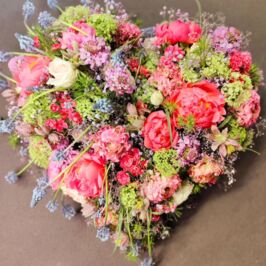 Offre Spéciale - Mousses Deuil 🌱

Du 1er au 28 février 2026, faites le plein de mousses deuil pour vos compositions :
💚Coeur
💚Raquette
💚Coussin

Profitez de prix remisés sur une sélection de mousses et réalisez de belles économies💰

En magasins et sur notre site web (lien en bio)

📷
@dylandecampmof_
@lilie_bloom
@lefleuristedelagare

#Fleuriste #Grossiste #Produvegetal #Moussedeuil #Compositionflorale