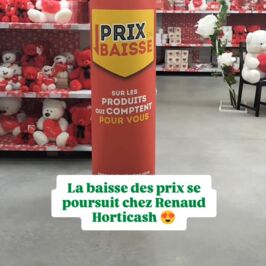 Baisse des prix 🔥
 3 familles de produits ont rejoint la baisse des prix 👀

Vannerie🧺 
Verrerie 🫙 
Zinc 🪴

👉 + de 80 nouvelles références

À découvrir en magasin et sur le web 
 (lien en bio) 💻🛒

#BaisseDePrix #RenaudHorticash #Fournisseur #Fourniture #Grossiste
‌
