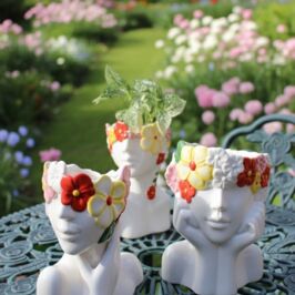 Nouvel Arrivage - Céramique 🌸

En mai, cap sur la Fête des Mères !

3 nouveaux cache-pots “visage” aux motifs floraux et couleurs pep’s viennent d’arriver chez nous !

Le secret : associés à une jolie plante verte ou fleurie, ils deviennent une superbe idée cadeau 🎁😏

N’hésitez pas à piocher parmi les pépites de chez @horticash.plantes pour des compositions qui feront fureur auprès de vos clients (et des mamans 🫶)

Disponibles en magasins et sur notre site web (lien en bio) 🛍️

Vic' 😜

#Fleuriste #ArtisanFleuriste #FeteDesMeres #DecorationInterieur #GrossisteFleuriste