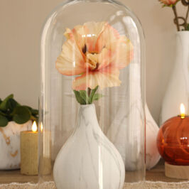 Nouveauté - Dôme en verre ✨

Découvrez nos nouvelles cloches en verre sans socle, élégantes, raffinées et décoratives.

Parfaites pour accompagner vos bouquets, compositions de fleurs séchées, créations végétales ou simplement en tant qu’objet déco chic dans vos boutiques ! 🌷

Disponibles en 3 tailles pour s’adapter à toutes vos inspirations :
Ø 13cm x H. 30cm
Ø 18cm x H. 30cm
Ø 18cm x H. 40cm

Idéales pour sublimer vos vitrines, ateliers ou évènements floraux.

Laissez libre cours à votre créativité avec nos cloches en verre 😉

À retrouver sur notre site et dans nos magasins 🛍️

#DômeEnVerre #ClocheEnVerre #Fleuristes #ProDuVegetal #Grossiste #Fournisseur #Decoration #DecoInterieur #RenaudHorticash #Evenementiel #ObjetDeco #ObjetTendance #CompositionFlorale #FleursSechées