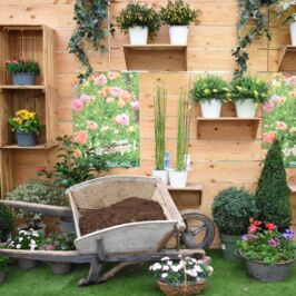 🌸 Bientôt le Printemps… 🌸
‌
Les jours rallongent, les couleurs s’invitent à nouveau, l’envie de végétal revient 🌼
‌
Dans nos cash d’Angers, Nantes et Rennes, les vitrines prennent des airs de renouveau :
✨ Floraisons lumineuses
🍊 Couleurs vitaminés
🌷 Compositions pleines de douceur
‌
Une ambiance qui sent bon le changement de saison et qui donne envie de préparer terrasses, balcons et jardins. On comme une envie de plonger les mains dans la terre, pas vous ?
‌
Le printemps arrive… et il commence ici 🌸
‌
Swipez 👉 pour découvrir nos nouvelles vitrines à Angers, Nantes & Rennes.