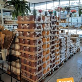 🍂 Un petit air d’automne s’installe doucement dans nos magasins…

Orange, jaune, écru, marron… une jolie palette de couleurs chaleureuses pour accompagner la prochaine saison dans vos boutiques.

Ça sent bon l’automne, passez jeter un oeil dans nos cashs 🤎

#CachePot #Nouveaute #Reims #Fleuriste #Rouen #Metz