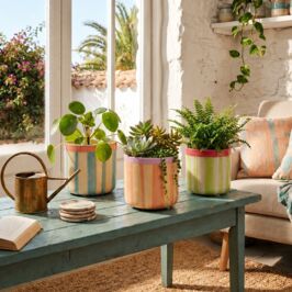 Exclusivité Web 🖥️

C’est le moment d’habiller vos plantes sans passer inaperçues 👀

Découvrez les cache-pots en céramique Barry, parfaits pour donner du style et de la couleur dans vos boutiques 🌿

Disponibles en trois belles teintes pastel, rose, vert et bleu aux motifs rayés et déclinés en plusieurs tailles ✨

À retrouver dès aujourd’hui sur le site web (lien en bio) 😊

#Ceramique #CachePot #Fleuriste #Contenant #Fournisseur