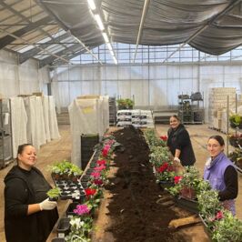 🤎🪴 Le rush de la Toussaint à l’Atelier
Ça s’active à l'Atelier Création Horticash !
L’équipe met tout son savoir-faire et sa passion au service des pros du végétal 🤎
Un grand bravo à cette Dream Team pour son talent, sa bonne humeur et son énergie 🫶
Et merci à vous, pour votre confiance renouvelée chaque année ✨️
📸 On swipe pour découvrir les coulisses de l’Atelier ? Les sourires, les gestes, les compositions… et toute l’expertise Horticash !
#Horticash #AtelierCréation #Toussaint2025 #Fleuristes #Jardineries #PlantesExtérieures #SavoirFaire #TeamHorticash #CréationsVégétales #Coulisses