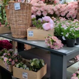 Besoin d’inspiration pour vos prochains projets déco ? 👇
Petit tour dans notre magasin d’Angers 🌸

Des fleurs, des couleurs et plein d'idées pour vos vitrines, événements ou mises en scène...

Si vous cherchez de nouvelles inspirations, notre sélection de fleurs artificielles pourrait bien vous donner quelques idées.

On vous attend en magasin et sur le site ! ✨

#DecorationFlorale #DecorationEvenementielle #Fleuriste #FleursArtificielles #Angers