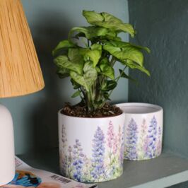 Alerte Collection - Jardin & Poésie 🪻

Plongez dans un esprit jardin anglais avec notre nouvelle collection Fête des Mères 💜

Découvrez un mélange de mauve, rose poudré et vert à travers des motifs floraux, reliefs papillons et lignes élégantes. 

Une collection irrésistible pour faire craquer vos clients !

On a hâte de voir comment vous allez les mettre en avant dans vos vitrines, n’oubliez pas de nous identifier 😉

Disponible dès maintenant dans nos magasins et sur le web (lien en bio) 🖥️

#CollectionFêteDesMères #FêteDesMères #GrossisteFournisseur #ProfessionnelDuVegetal #Fleuristes