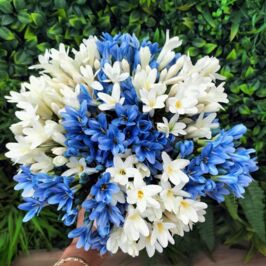 Saison des Agapanthes 🌼

Envie de fraicheur sans contraintes ?
Craquez pour nos agapanthes en tergal bleu ou crème ! 🌿

Elles trouveront parfaitement leur place dans vos bouquets, décorations événementielles ou vitrines de commerce 🤩

Proposez à vos clients un brin de fraîcheur durable et sans contrainte d’entretien 😉

Vic' 😜

#agapanthe #fleuristes #tergal #fleursartificielles #decoration #fournisseurfleuriste #evenementiel #weddingplanner #grossistefleuriste #decorationflorale