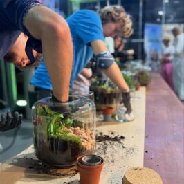 🌿 Défi inédit au @salonduvegetal !
-
Les BTS AP 2e année et MV 1re année du lycée @le_fresne_angers_segre (Angers) ont relevé le challenge sur scène ! 8 élèves se sont glissés dans la peau des candidats de l’émission @lesasdujardin 
-
Au programme :

* Manuel Rucar de @chlorosphere à la présentation. 
* @marcelarium_ & Mathéo (saison 1) au jury pour désigner le meilleur terrarium et remettre le trophée ! 🏆 
🤝 Partenaire de l’événement
@renaud.decoration.rdh et @horticash.vegetal.rdh avons fourni l’ensemble des plantes, accessoires et terrariums !
-
Après le défi, direction notre stand pour un moment convivial : photos, détente et tous les élèves qui repartent avec un Tradescantia dans son cache-pot RdH GROUPE ! 🌱
-
#SalonduVégétal #LesAsDuJardin #LeFresne #Angers #Terrarium