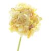 image HORTENSIA 68CM JAUNE