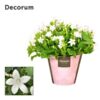 image CAMPANULE PORTO ICE WHITE DECORUM