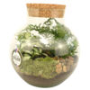image TERRARIUM ARCHELON 20