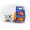 image CUCURBITACEE HALLOWEEN