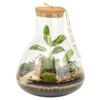 image TERRARIUM TESTUDO 20