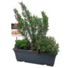 image AROMATIQUES MELANGE GRILLADE