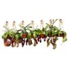 image NEPENTHES MONKEY JARS VARIES SUSP