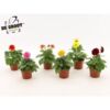 image DAHLIA VARIE P COLORE