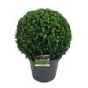 image BUXUS BOULE