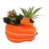image KALANCHOE CHLOROPHYTUM CERAM HALLOWEEN