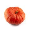 image CUCURBITACEE RED ETAMPES