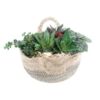 image COMPO 5 PLANTES PANIER OSIER