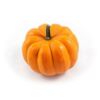 image CUCURBITACEE ORANGE BOO