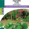 image HEUCHERA SANGUINEA FIREFLY