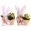 image COMPO KALANCHOE JAUNE LAPIN