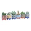 image CACTUS VARIE CERAM