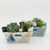 image COMPO SUCCULENTE X2 P DECO BOIS