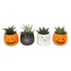 image ALOE VARIES CERAM HALLOWEEN