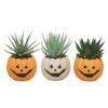image ALOE VARIES CERAM DECO HALLOWEEN