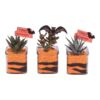 image COMPO SUCCULENTE VERRE HALLOWEEN