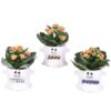 image KALANCHOE FL DBLE CERAM HALLOWEEN