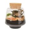 image TERRARIUM PAUL 20