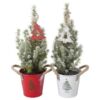 image PICEA CONICA GIVRE DECO NOEL ZINC