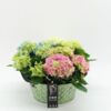 image HORTENSIA COUPE ZINC