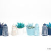 image ECHEVERIA TEINTE CERAM PHARE