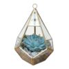 image VERRERIE BOUNTY 20