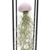 image COMPO TILLANDSIA METAL BOIS
