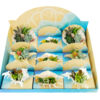image COMPO SUCCULENTE X4 COQUILLAGE M