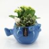image COMPO 2 PLANTES CERAM POISSON