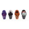 image ECHEVERIA MIRANDA TEINTE HALLOWEEN